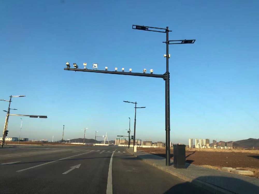 醴陵市黑龙江佳木斯综合路灯杆项目